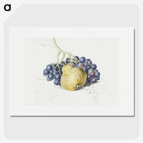 1-13_Georgius-Jacobus-Johannes-van-Os_picture
