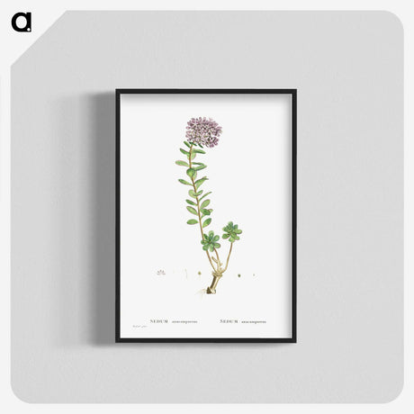 1-13_Histoire-des-Plantes-Grasses_blk-crop