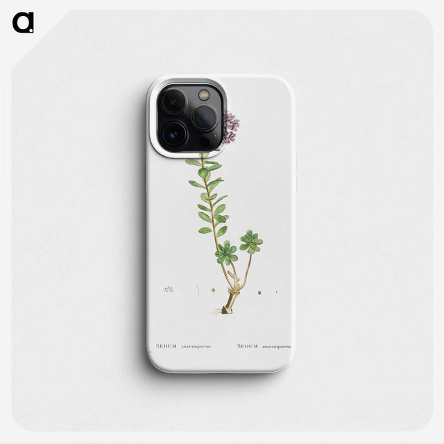 1-13_Histoire-des-Plantes-Grasses_phone