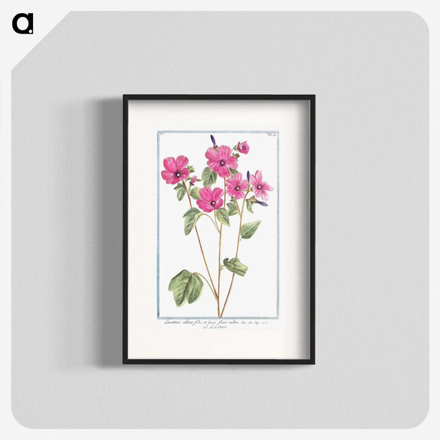 1-13_Hortus-Romanus-Botanical-Plates_blk