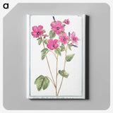 1-13_Hortus-Romanus-Botanical-Plates_canvas