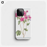 1-13_Hortus-Romanus-Botanical-Plates_phone