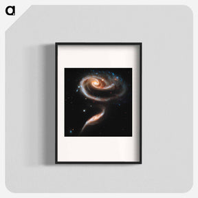 アートポスター-Rose of Galaxies
 - ハッブル画像 Poster.