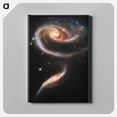 アートパネル-Rose of Galaxies
 - ハッブル画像 Canvas.