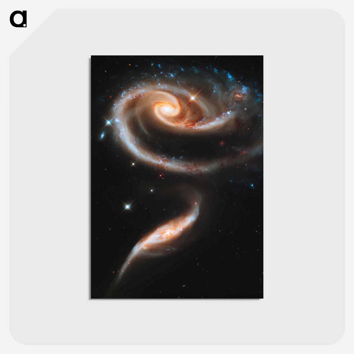 アートポストカード-Rose of Galaxies
 - ハッブル画像 Postcard.