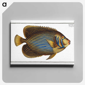 1-13_Ichtyologie-ou-Histoire-naturelle_canvas