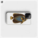 1-13_Ichtyologie-ou-Histoire-naturelle_phone