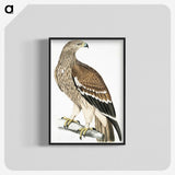 1-13_Indian-Zoology_blk-crop