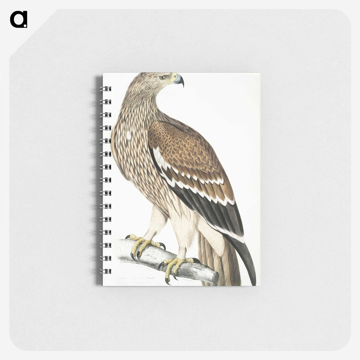 1-13_Indian-Zoology_memo