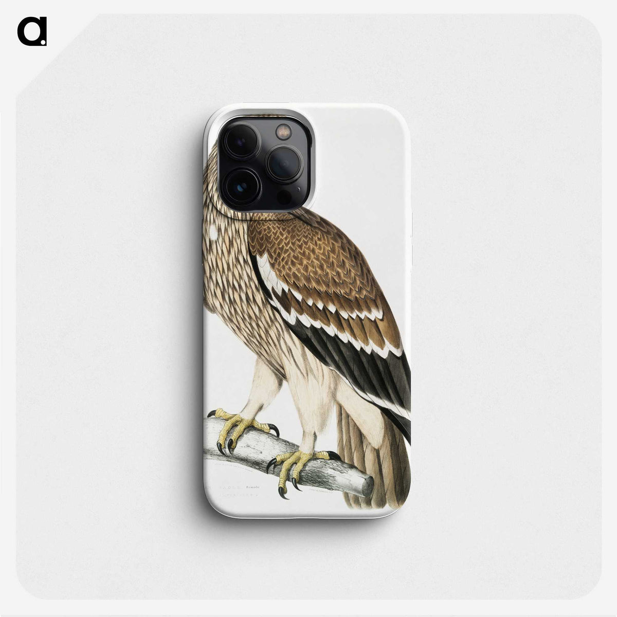 1-13_Indian-Zoology_phone