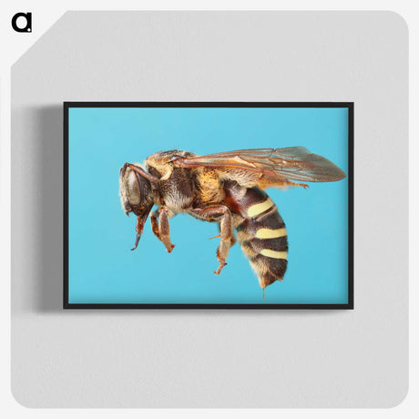 1-13_Insects-Unlocked-Project_blk-crop