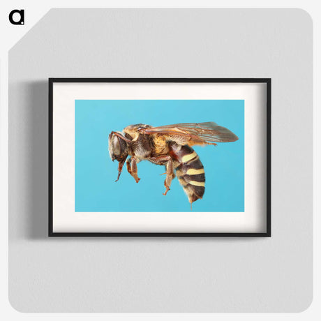 1-13_Insects-Unlocked-Project_blk
