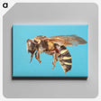 1-13_Insects-Unlocked-Project_canvas