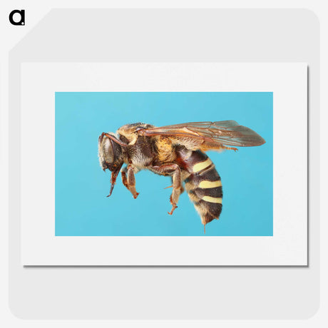 1-13_Insects-Unlocked-Project_picture