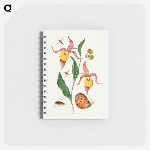 Anna Blackburne's Natural History Cabinet
 - ジェームズ ボルトン Memo.