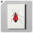 1-13_Jan-Van-Kessel_canvas