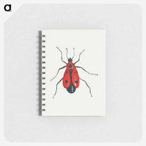 1-13_Jan-Van-Kessel_memo