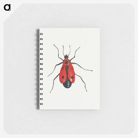 1-13_Jan-Van-Kessel_memo