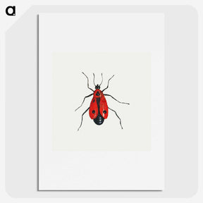 1-13_Jan-Van-Kessel_picture