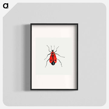 Firebug from Insects and Fruits
 - ヤン ファン ケッセル Poster.