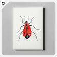 アートパネル-Firebug from Insects and Fruits
 - ヤン ファン ケッセル Canvas.