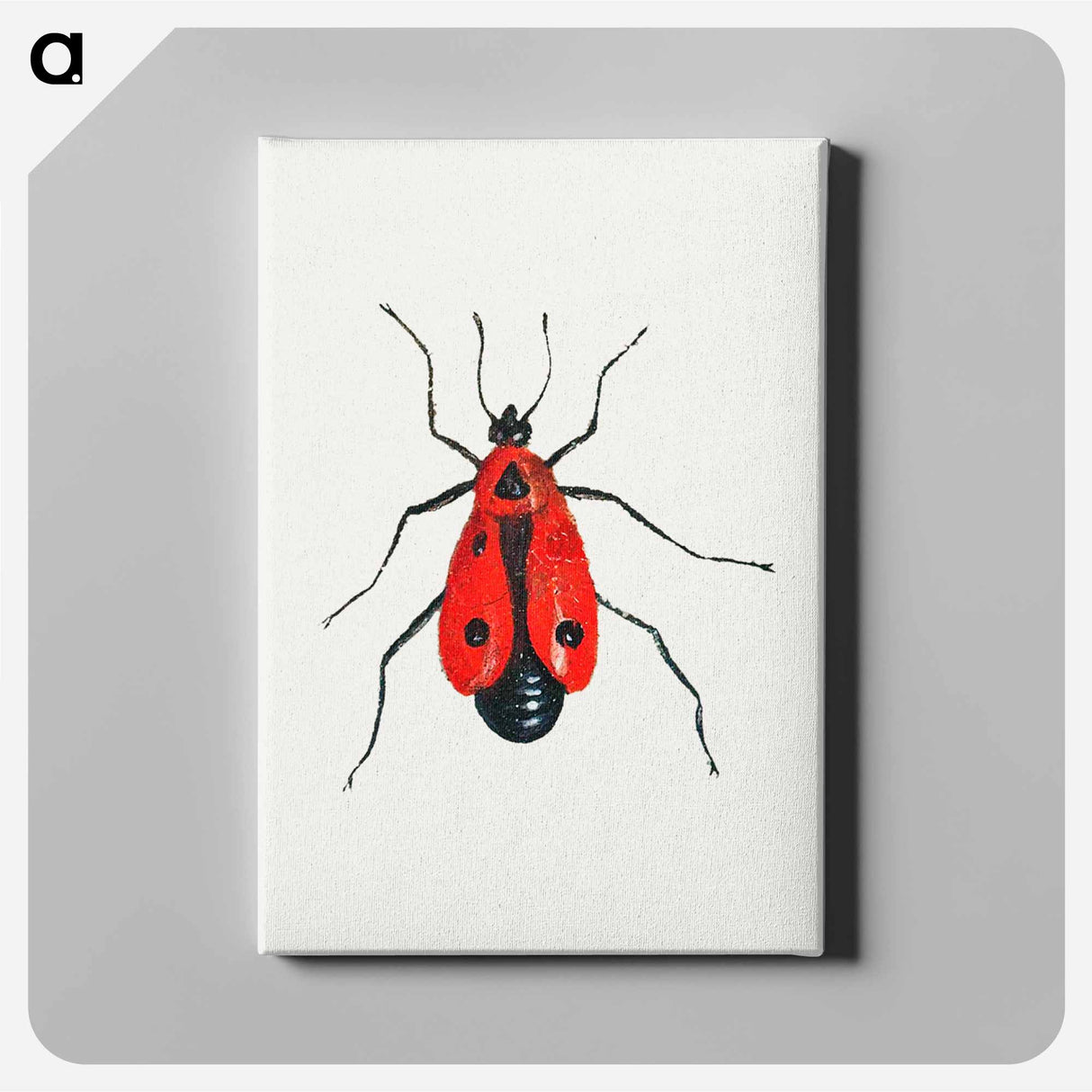 アートパネル-Firebug from Insects and Fruits
 - ヤン ファン ケッセル Canvas.