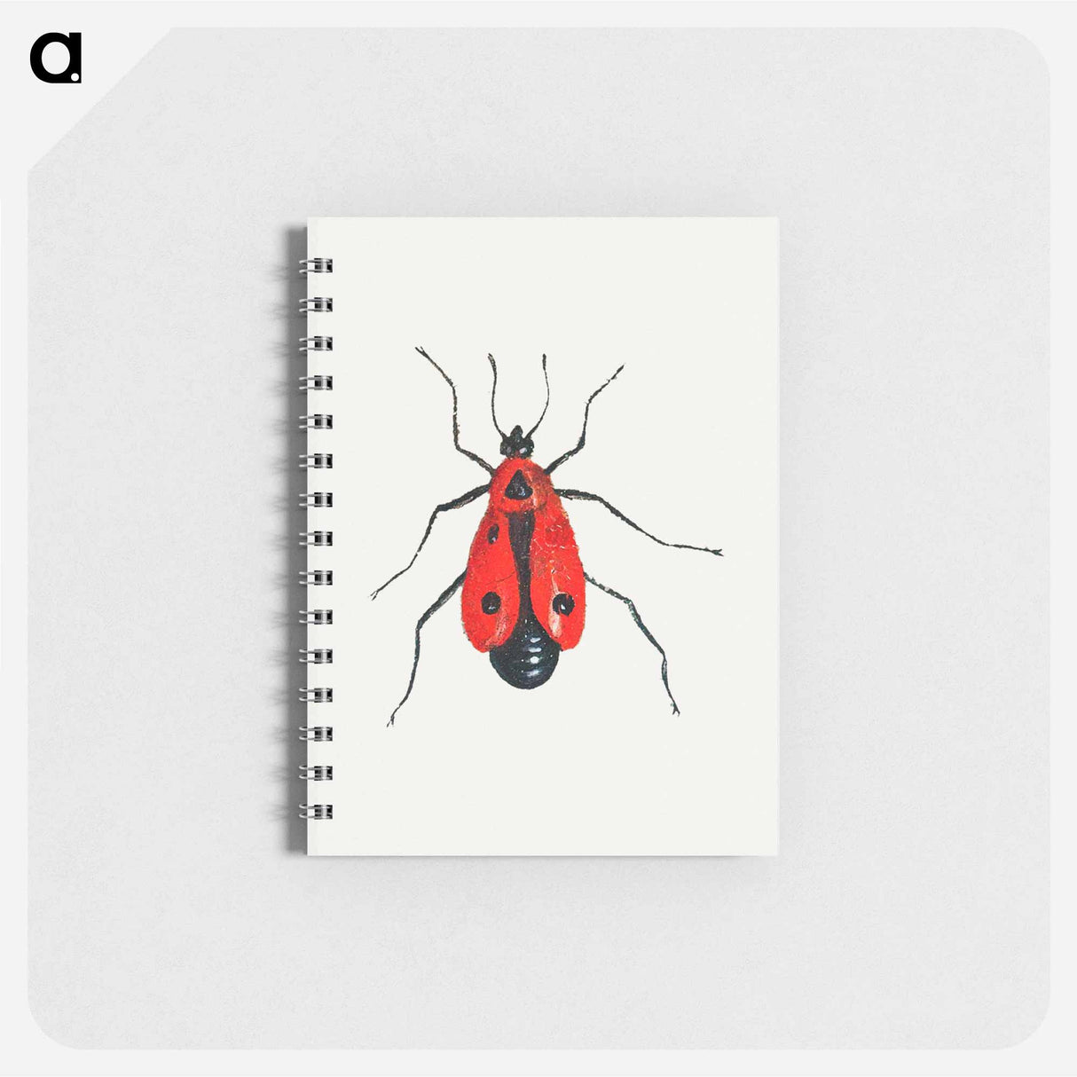 アートメモ帳-Firebug from Insects and Fruits
 - ヤン ファン ケッセル Memo.