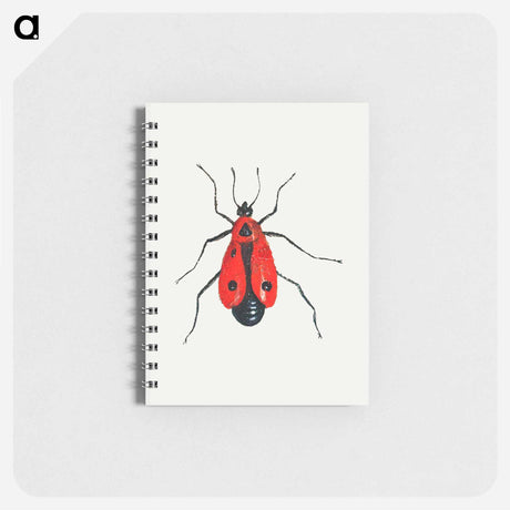 アートメモ帳-Firebug from Insects and Fruits
 - ヤン ファン ケッセル Memo.