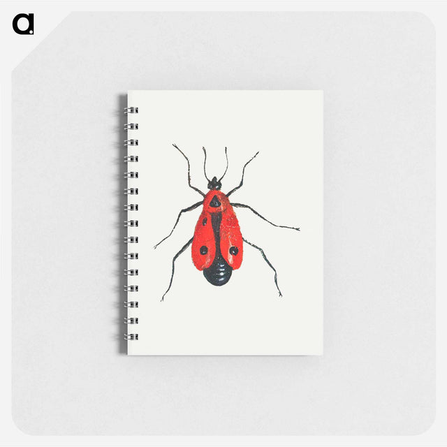 アートメモ帳-Firebug from Insects and Fruits
 - ヤン ファン ケッセル Memo.