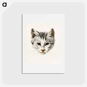 アートポストカード-Sketch of a cat - ジャン ベルナール Postcard.