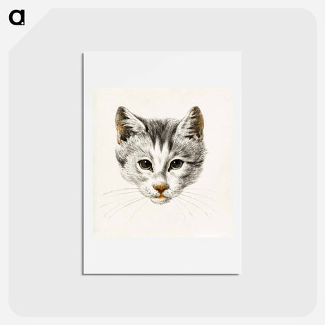 アートポストカード-Sketch of a cat - ジャン ベルナール Postcard.