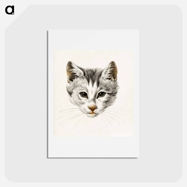 アートポストカード-Sketch of a cat - ジャン ベルナール Postcard.
