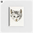 1-13_Jean-Bernard_memo