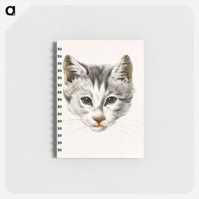 アートメモ帳-Sketch of a cat - ジャン ベルナール Memo.