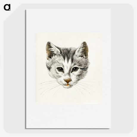 1-13_Jean-Bernard_picture