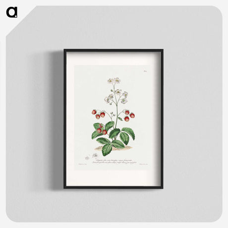 1-13_John-Edwards_blk