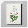 1-13_John-Edwards_canvas