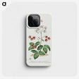 1-13_John-Edwards_phone