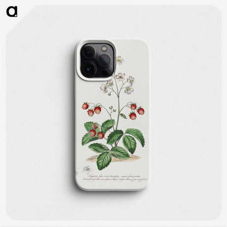 1-13_John-Edwards_phone