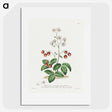 1-13_John-Edwards_picture