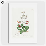 1-13_John-Edwards_picture
