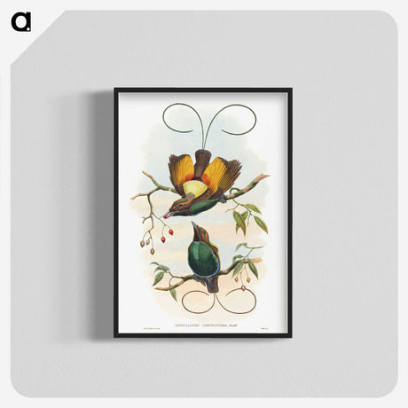 1-13_John-Gould_blk-crop