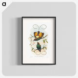 1-13_John-Gould_blk