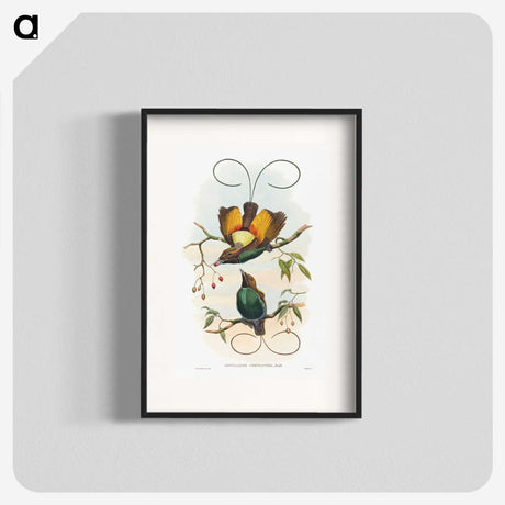 1-13_John-Gould_blk