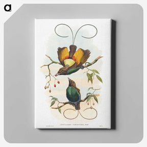 1-13_John-Gould_canvas