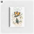 1-13_John-Gould_memo