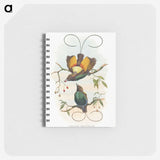 1-13_John-Gould_memo