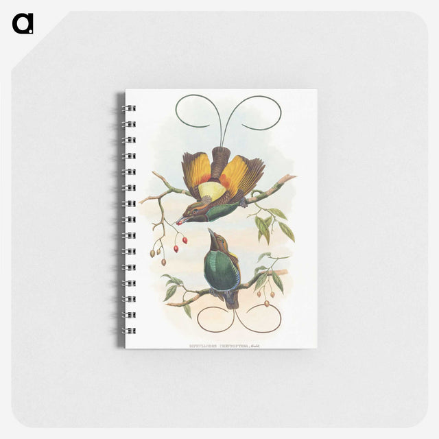 1-13_John-Gould_memo