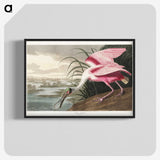 1-13_John-James-Audubon_blk-crop