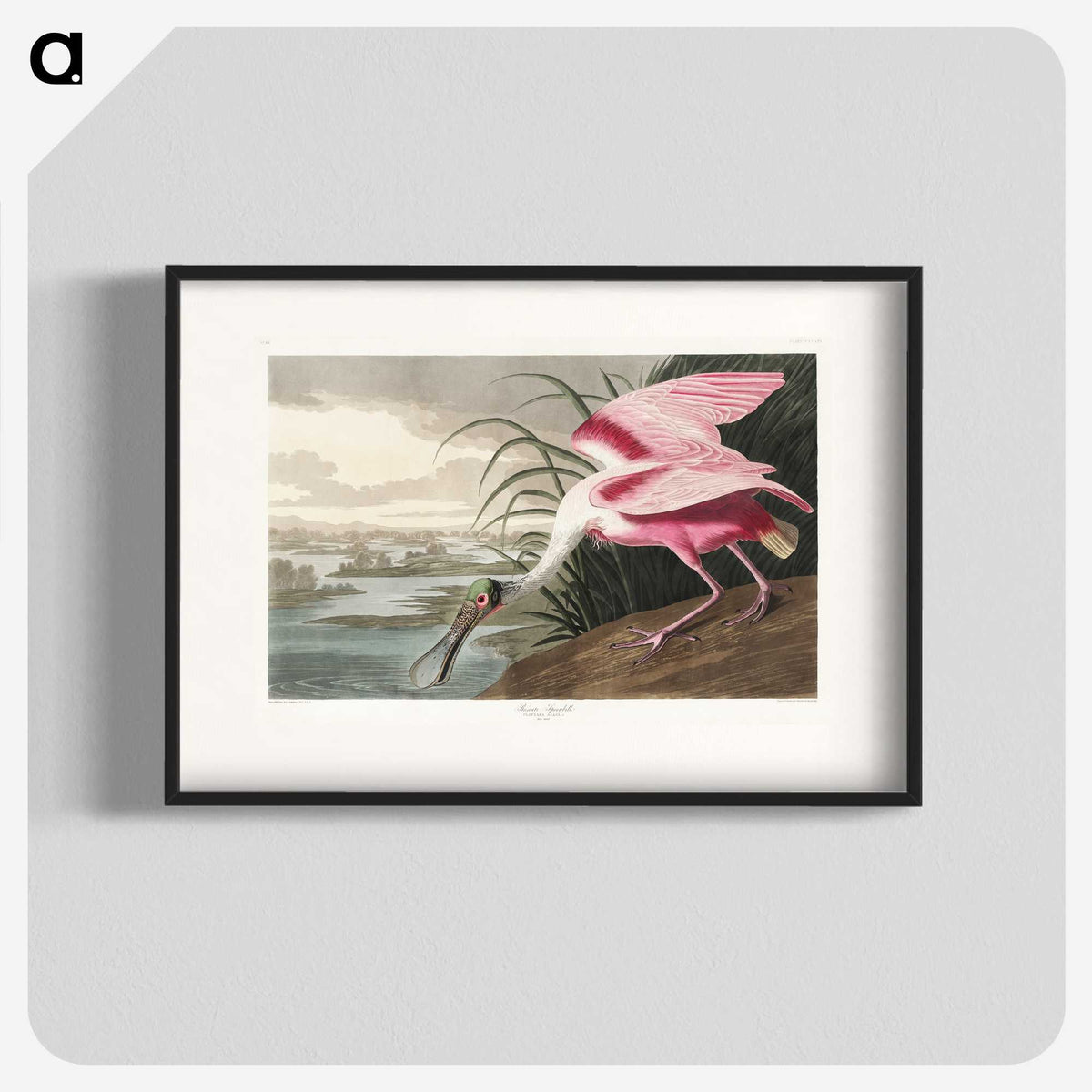 1-13_John-James-Audubon_blk